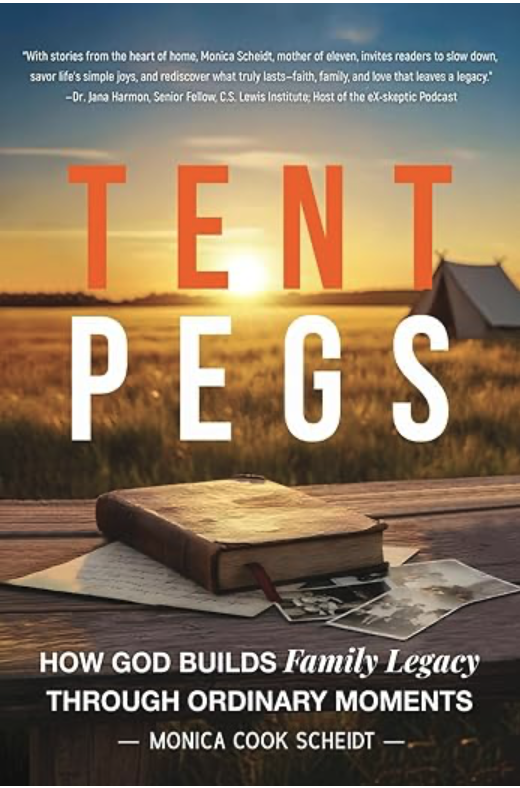 Tent Pegs Book Cover